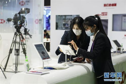 服贸展区开展首日亮点 贸易咨询服务助力企业全球布局